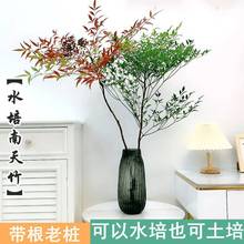 ˮֲԎϘ҃ȾGֲļBRľF