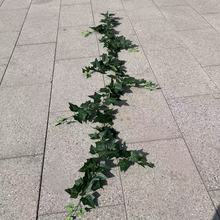 1.8�׷����F�z�������ٗl�G�}������ɽ���ڒ쳣�������ٗl�羳