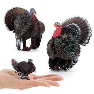 Cross-Border New Product Farm Poultry Animal Model Turkey Rooster Solid Static Ornament Children's Early Education Bird Model