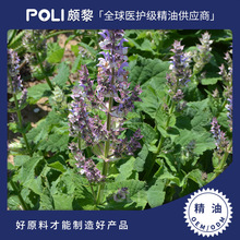 �����M�ڿ옷��β�ݾ���ԭ�φη������H���M�ڿ옷��β�ݾ������l