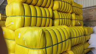 �S�����l���^���ӻ��w��������S�п՜�]���w�S�޹��I���x