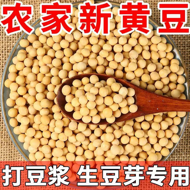 Special Soybeans for Making Soy Milk and Soybean Sprouts, Ground Soybeans, Farm-Grown Non-Gmo Seasonal Soybeans