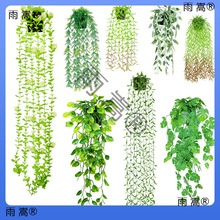 �羳�ȼ�������~�ٗl�����_�㶹�Ғ��bGֲĥɰ��