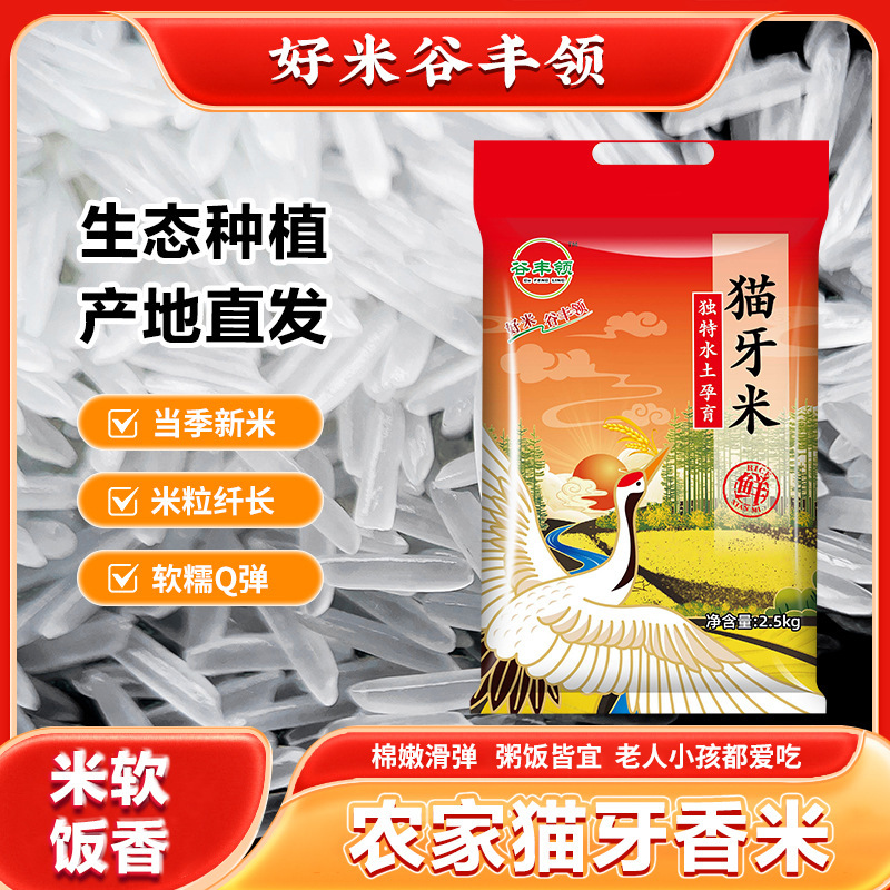 New packaging rice new rice authentic cat tooth rice long grain fragrant rice cat tooth rice high quality cheap fresh good rice