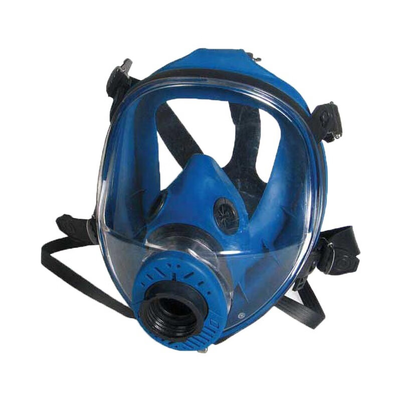 羿科EW8300大面屏防毒面具全面罩甲醛喷漆工业化工气体全脸呼吸器