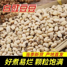 ��؛��ü�� 500g�r�Ұ����� ��؛��׶��׶��ӽ�����{ �s�Z