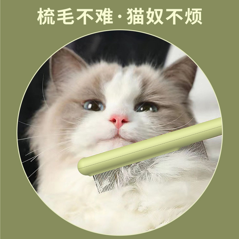 Peinado de gato, peinado de gato, peinado especial, peinado de gato, peinado de gato