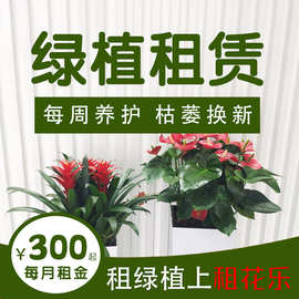 租赁花卉植物哪家好！找[上海租花乐]试试！专业！每月1000元50盆