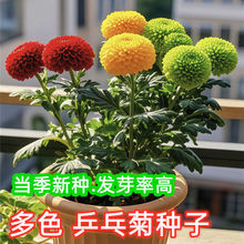 ߲ƹҾջNǹշNļ׷NLGֲԻN