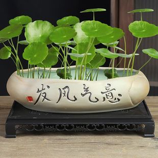 ˮ�໨���մɂ����~�X����ɏ���X��һ�~ɏ�o��ֲ�ﻨ��ˮ�ɻ���