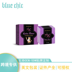 �w�w������� ���w�坍�o�¼��w�ֱ۴�����w�w������