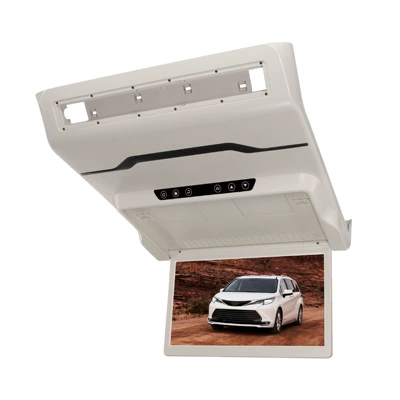 Ceiling-Mounted Display Screen, Car display