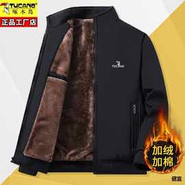 啄木鸟外套男士冬季加绒加厚保暖夹克爸爸装宽松大码立领棉服防寒