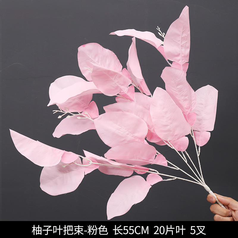 Grapefruit leaf bundle