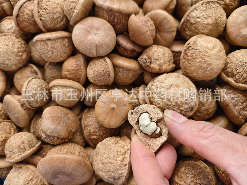 IMG_20241129_105713_副本