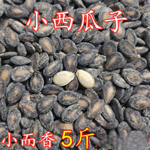 ��؛������ƬСƬ���ͽ��}�������у�����450ɢ�b��؛��ʳ���]