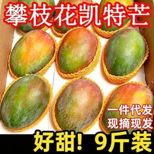 �Ĵ���֦���P��â�����rˮ��â���������������]�ش���æ������