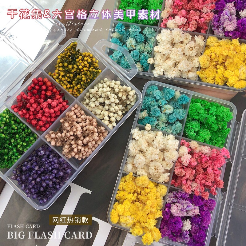 Dried Flower Nail Art Materials DIY Materials High-End Gypsophila Real Flower Buds Mini Bouquet Nail Decoration Accessories