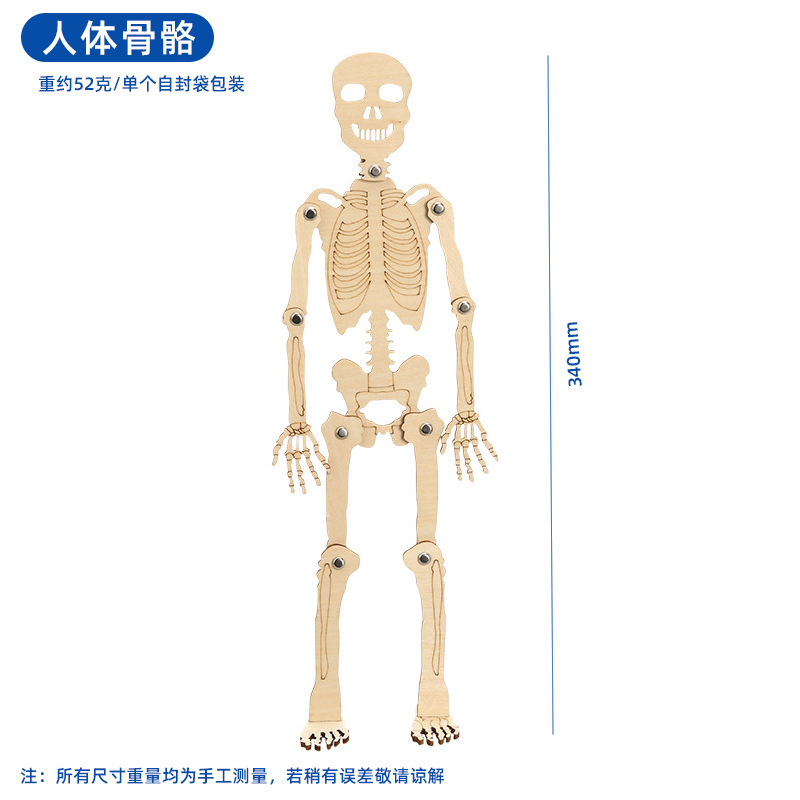 子供向け知育玩具 科学工作セット 小学生向け科学実験キット 手作り材料パック ギフト|undefined