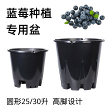 3个装蓝莓盆塑料花盆30L加厚圆形控根盆绿植花卉大号透气圆形花盆