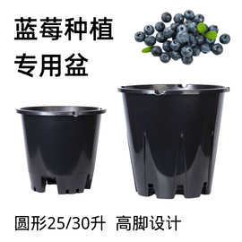 3个装蓝莓盆塑料花盆30L加厚圆形控根盆绿植花卉大号透气圆形花盆