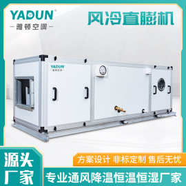 雅顿厂家直供风冷直膨式空调机组一体式恒温恒湿空调商用冷暖空调
