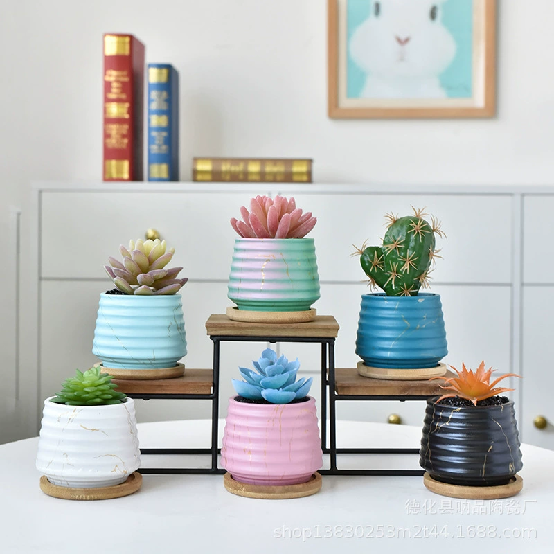 Suopin Внешняя торговля Экспорт керамическая суккулентная Цветочная тарелка градиент нити новая трансграничная электронная коммерция, посвященная домашней мебели