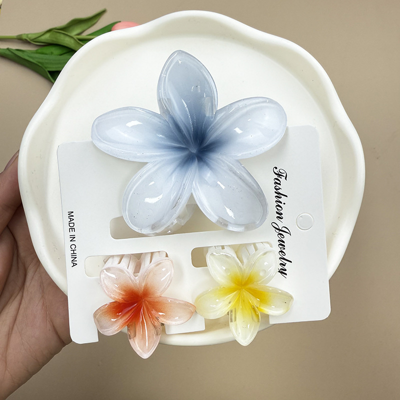 96g Weight Hair Claws Hair Accessories Type 1 Set Quantity Daily Occasion Plastic, Resin Material Plumeria Pattern All Seasons Season Women's Gender Stoving Varnish Design Cute Style Cute Women's Plumeria Plastic Resin Stoving Varnish Hair Claws 20