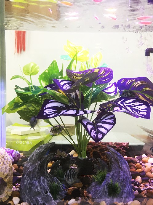 微信图片_201245416