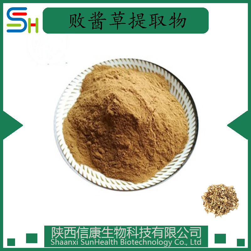 败酱草提取物 10：1 植物提取物 信康生物