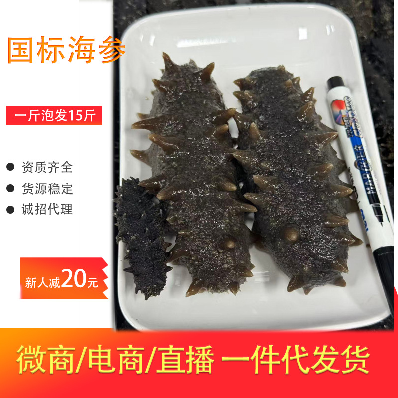 厂家批发大连纯淡干辽参国标海参淡干刺参干货大小头数全泡发高