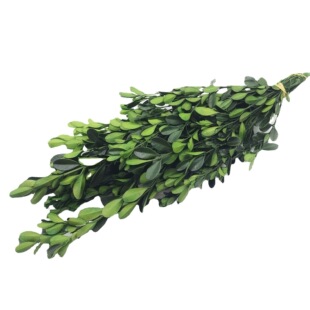 ����С�~�S����������������~�ӼҾӲ廨����S���~��ı��r��