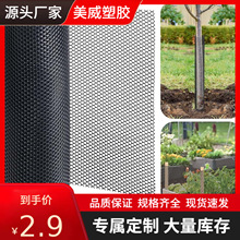 专业护树网树木园林保护树木塑料防护罩网树干保护器植物保护