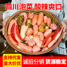 四川传统老坛什锦泡菜酸辣脆泡萝卜豇豆下饭菜咸菜餐饮批发代发