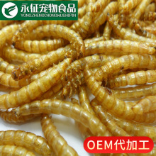 �Bֳ��������x�����l�S���x�Ɍ��Z�B�Z��ς}����ʳ�^�p�~С�}��