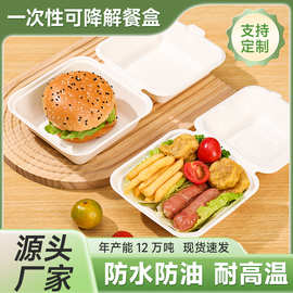 美式环保汉堡打包盒可降解可堆肥一次性纸浆餐具甘蔗浆便当盒锁盒