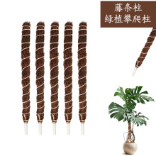 �羳�}�Q�b��پ���Ȼ�ٗl������ֲ��ɽ����֧�ΗU�@ˇ������֧��