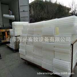 养鸡用纯料漏粪板鸡舍用禽用加厚图片、价格、型号