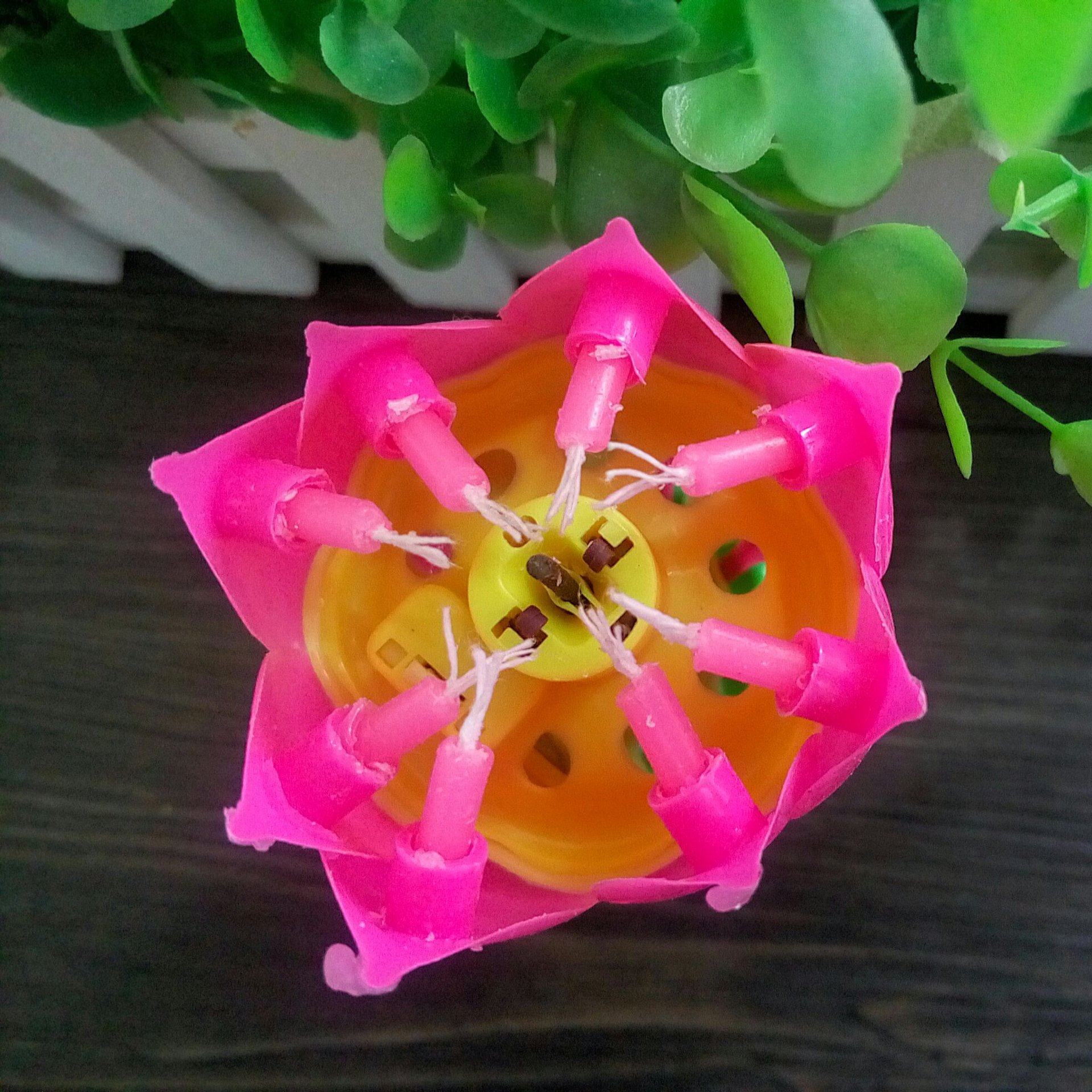 3213254541_1173976938