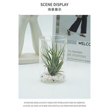 �՚��P��С����ɯ���½M���¿�������˾Gֲ�ļ������L������}�k