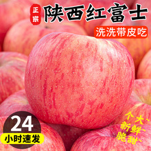 陕西红富士苹果水果新鲜整箱当季脆甜丑苹果整箱10斤小冰糖心包邮