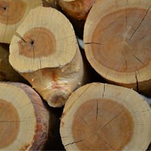 澳大利亚澳洲檀香精油印度尼西亚白檀 迈索尔檀香木质精油