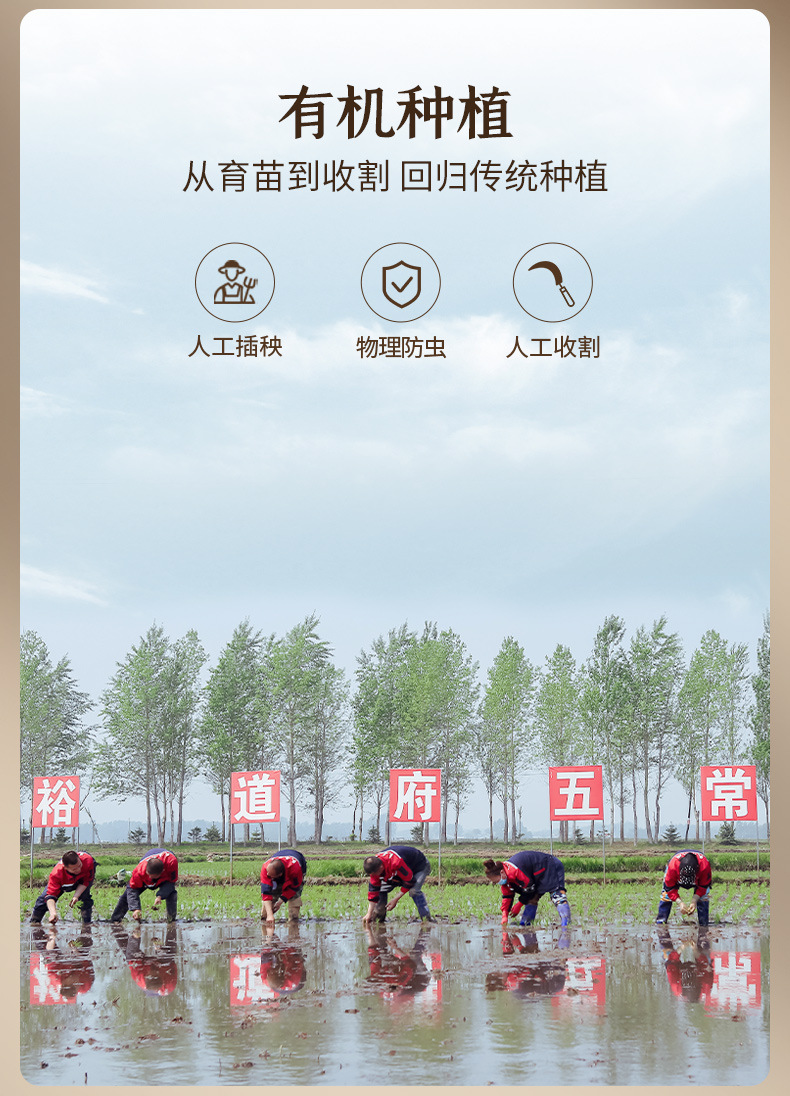 有機長粒香10kg (6).jpg