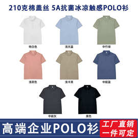 工厂直销高端POLO衫定制企业服210克棉盖丝5A抗菌冰凉触短袖商务
