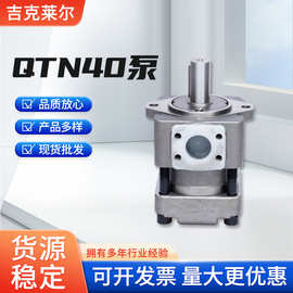 厂家供应QTN40泵 住友泵注塑机伺服泵低噪音齿轮泵 内啮合齿轮泵
