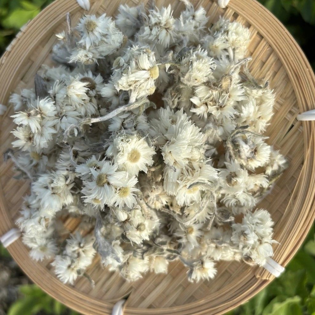 Ganzi Glacier Snow Chrysanthemum Dried Flower Tea 10g Box Sun Dried Unsweetened quality and texture
