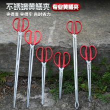 厂家批发泥鳅黄鳝长夹螃蟹夹子钳子赶海加厚防滑鳝鱼抓鱼工具神器