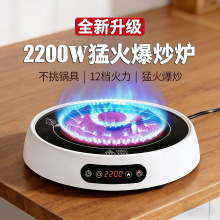 ������ՠt 2200W���ʼ��ö๦�ܳ��ˇ��t���t��ˮ����늴Št