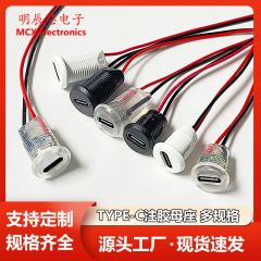 TYPE-C母座2p急速充電インターフェイス充電コンセントtypec射出ロック付き外ねじ付き防水2pin端子