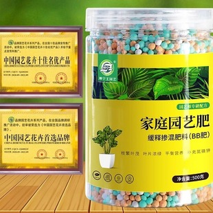 Indoor green plant flower controlled release fertilizer particles general-purpose succulent potted compound fertilizer nitrogen phosphorus potassium fertilizer gardening slow release fertilizer